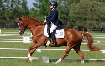 Hunter Valley Dressage Association